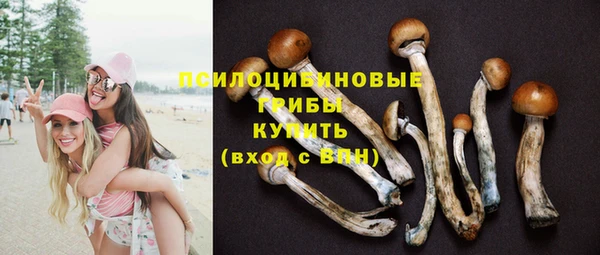 гашиш Осташков