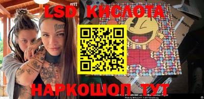 сатива Гатчина