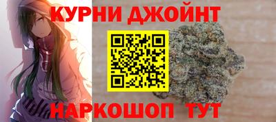 сатива Гатчина