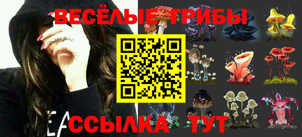 Калач-на-Дону  продажа наркотиков  Вход с VPN  Галлюциногенные грибы ЛСД 